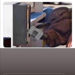 Meet your Posher, Joan